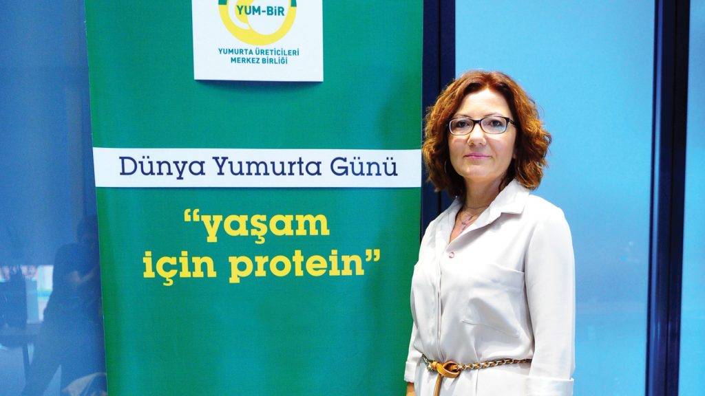 Irak yumurta ithalatını durdurdu; yumurta üreticisi zorda!