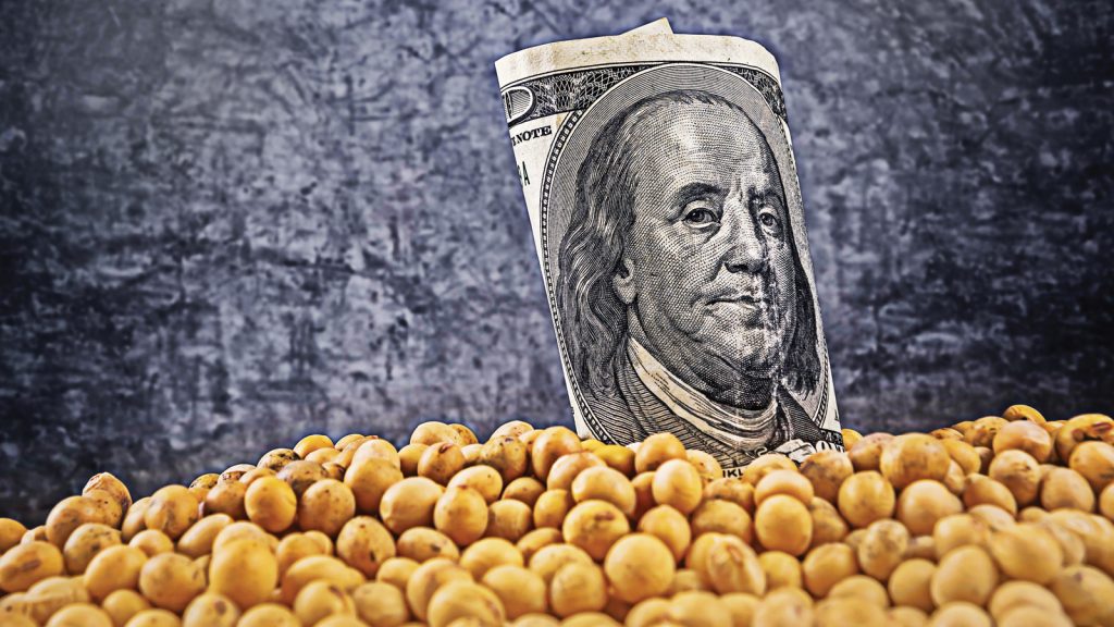 AB, Amerika Birleşik Devletleri’nden soya fasulyesi ithalatını artırdı