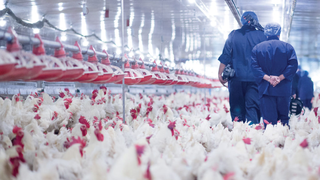 Biyogüvenlik Kültürü – Bölüm V