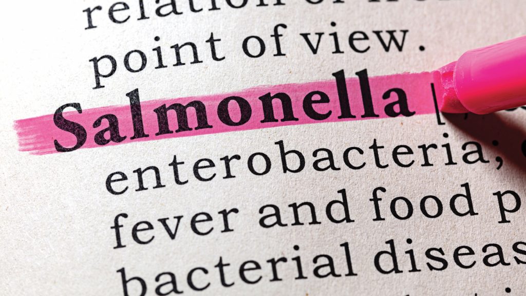 Aşılama, Salmonella kontaminasyonunu önlemek için hayatidir
