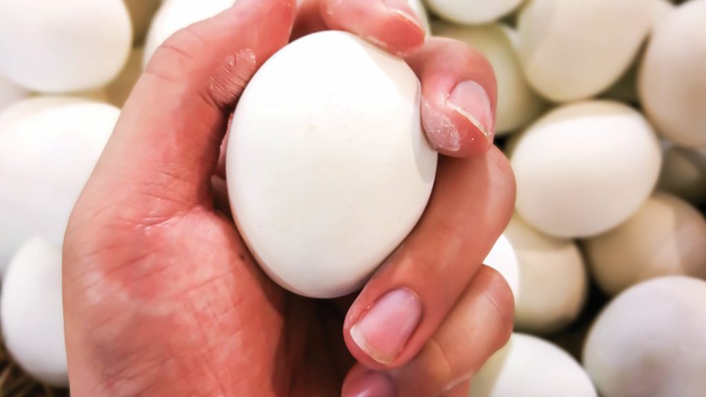 Tavuk eti ve yumurtası için üretim rakamları açıklandı