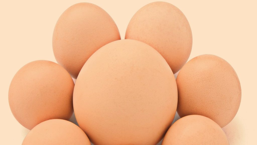 Yumurta büyüklüğünün artırılması
