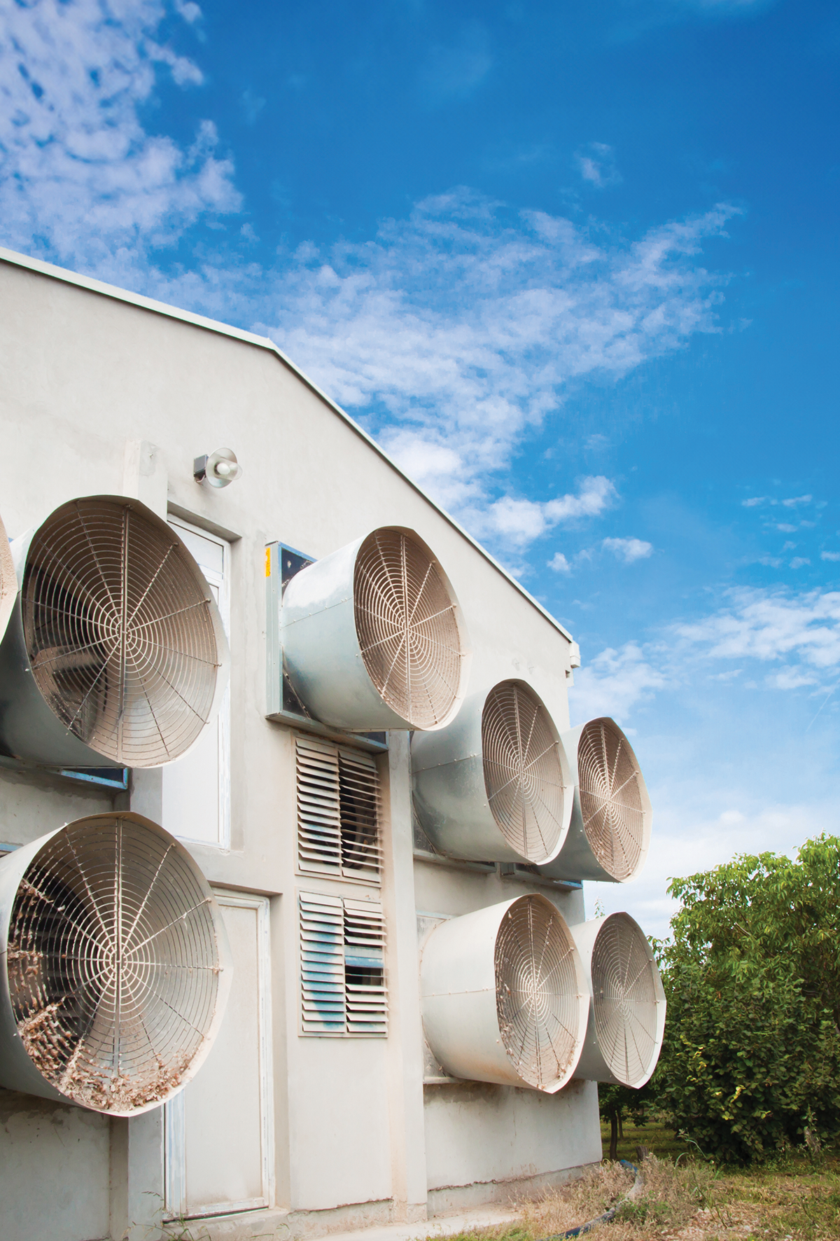 Kanatlı işletmelerinde serinletme sistemleri