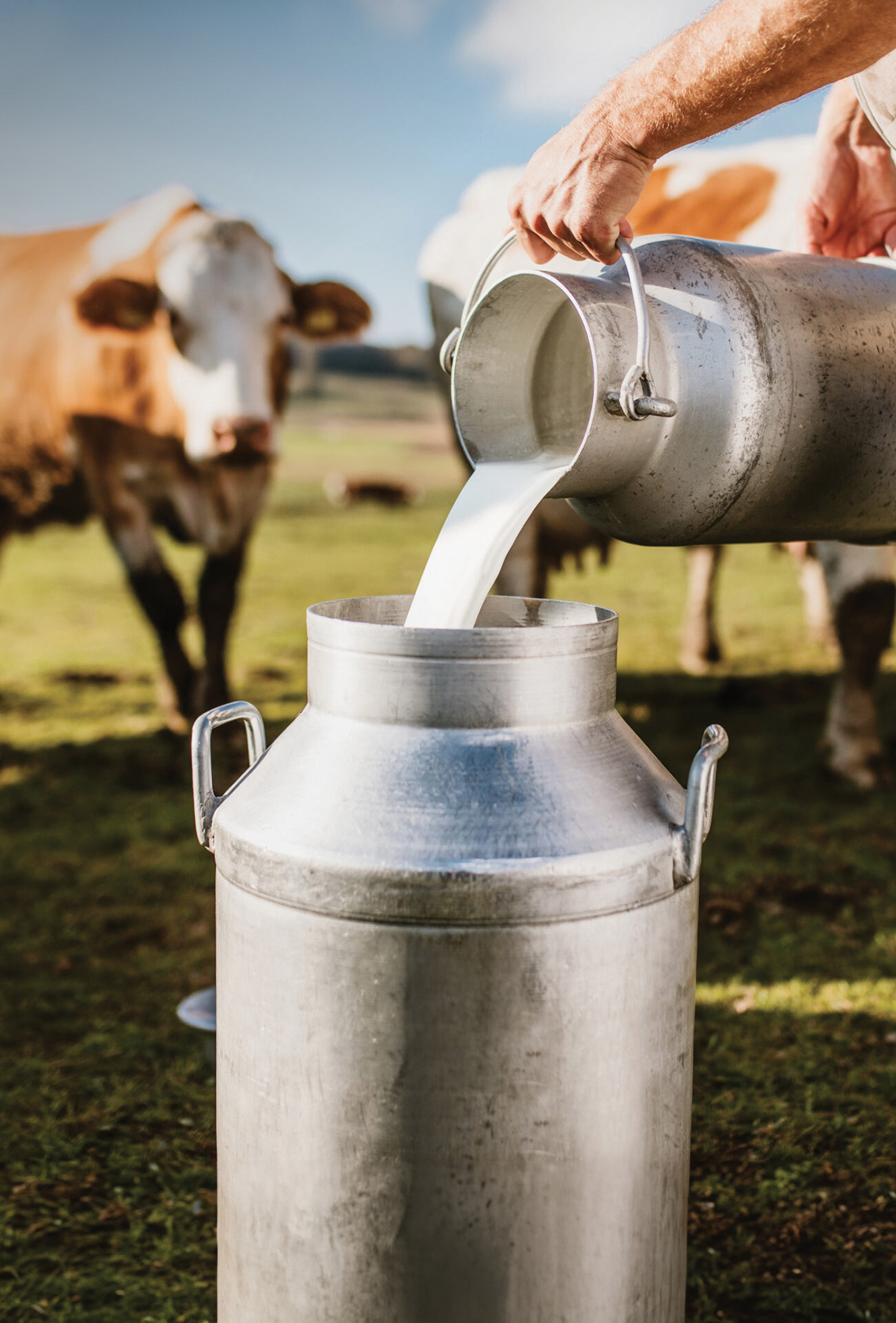 Ulusal Süt konseyi: “Süte zam yok”