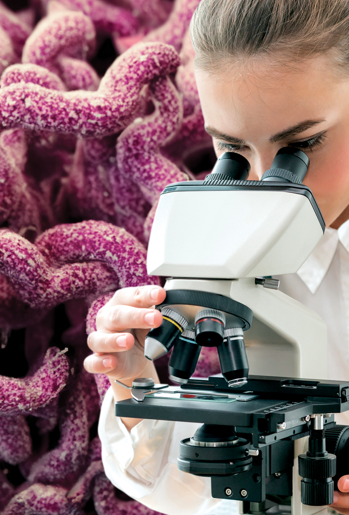 Gastro-intestinal sistem hastalığı: Campylobacter 