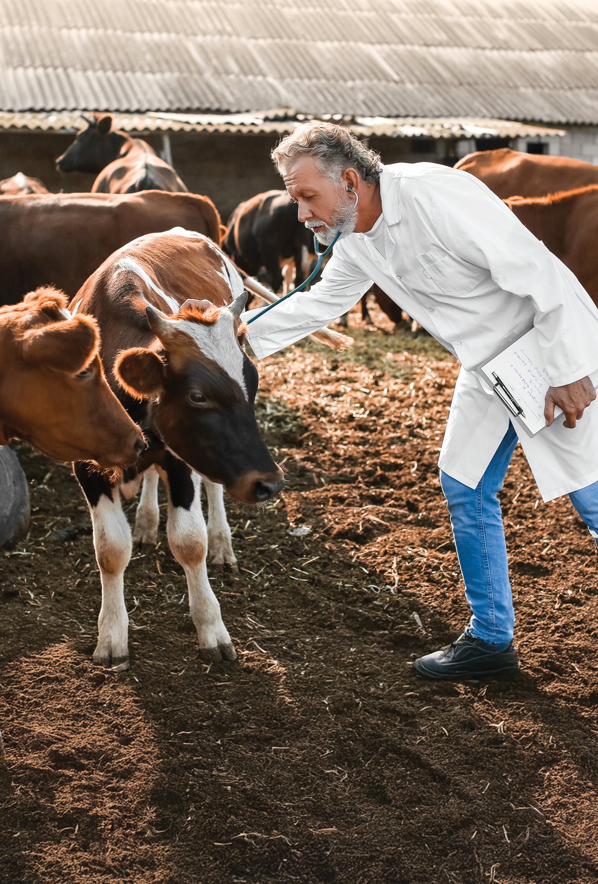 Hipokalsemiye yaklaşım