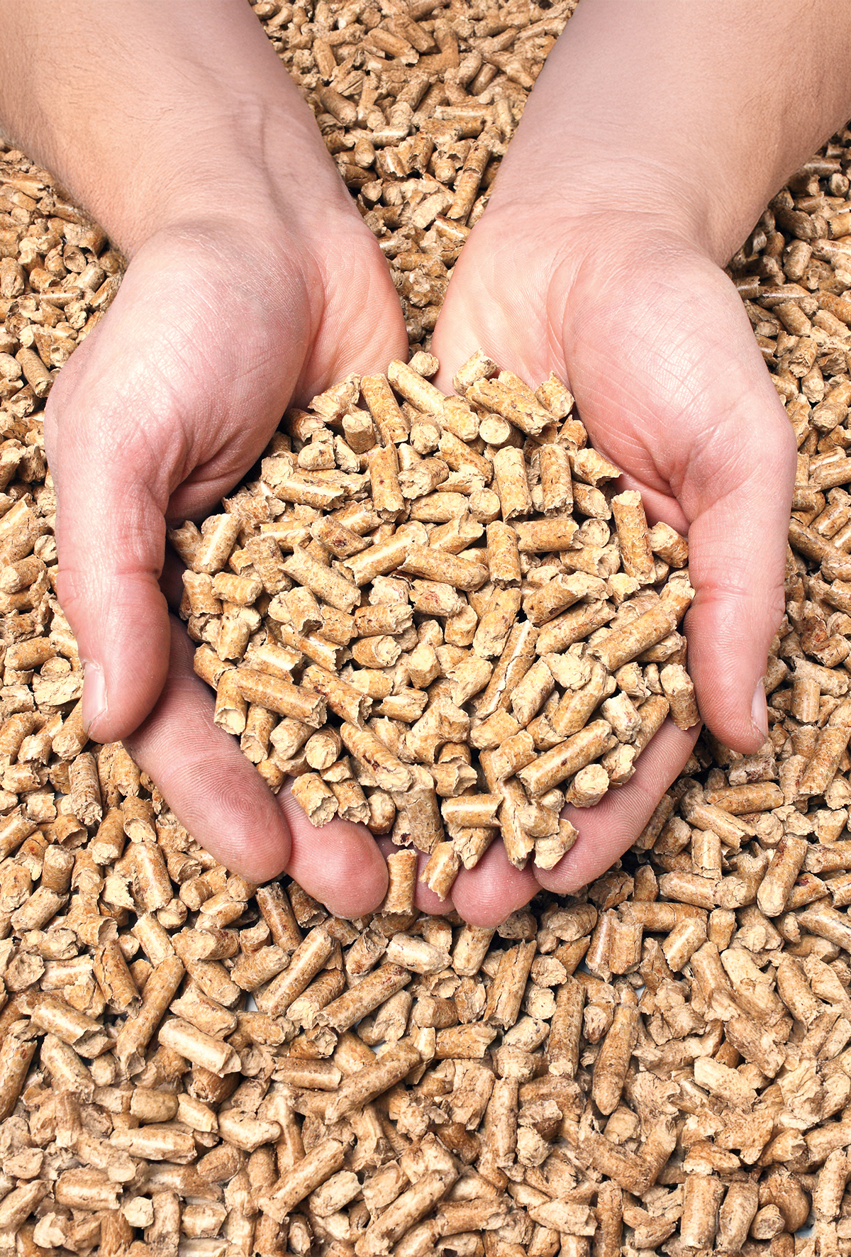 Karma yemlerde sıvı takviyesi