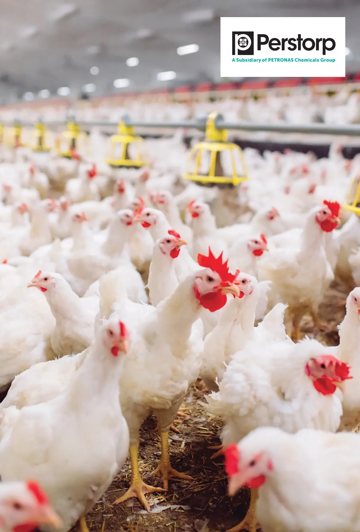 Valerik ve bütirik asit: Üstün bağırsak sağlığının anahtarı