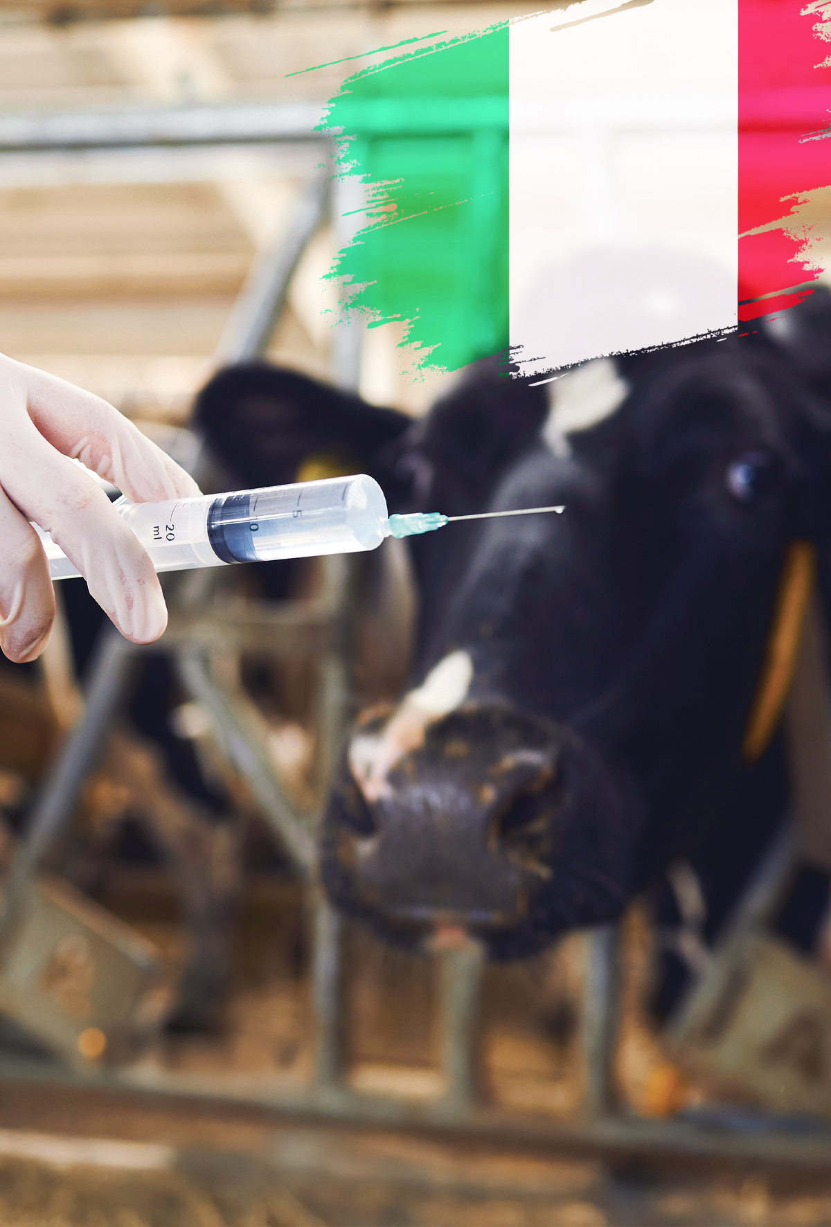 Şap hastalığı kontrolünde etkin stratejiler