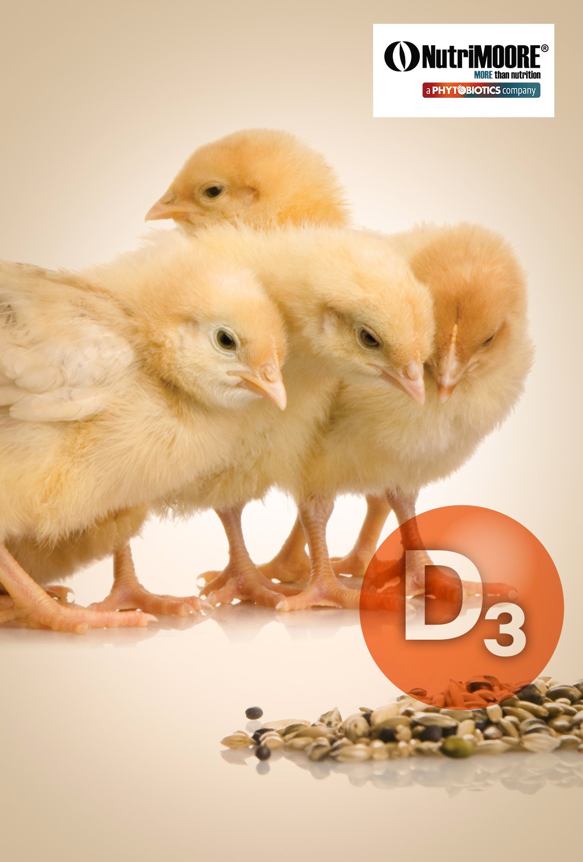 Bağırsak sağlığı perspektifinden vitamin D3 metabolizması