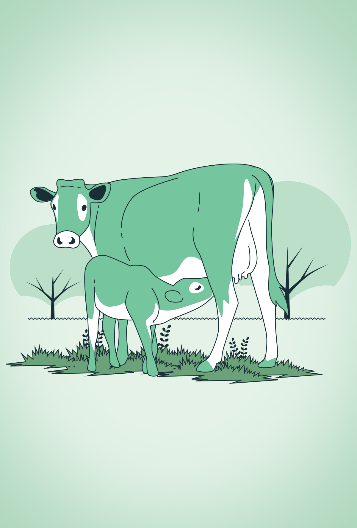 Dayanıklı buzağılar için yeni yaklaşım