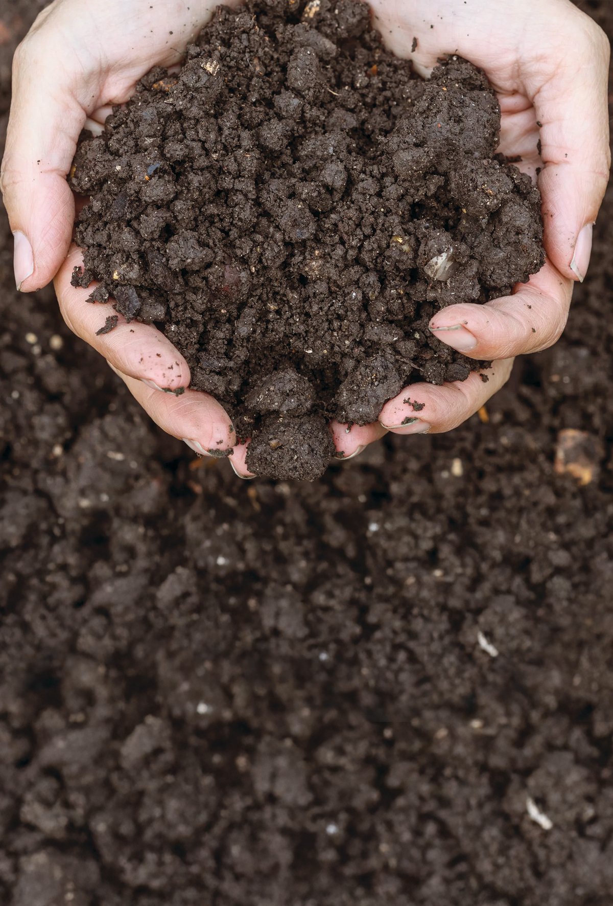 Kaz ve tavuk gübresi, ek gelir kaynağı oluyor