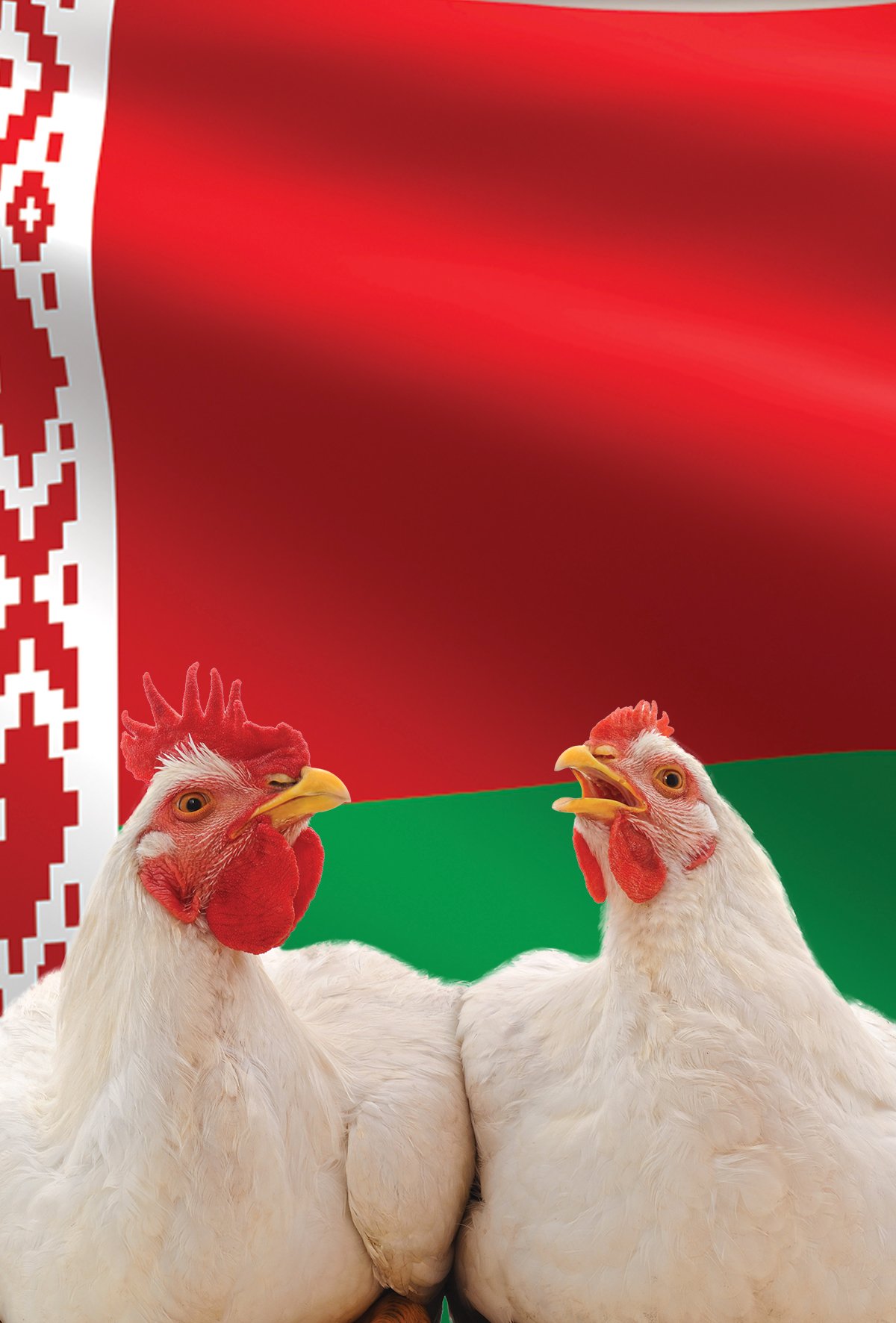 Belarus, yerli genetiğe geçmeyi planlıyor