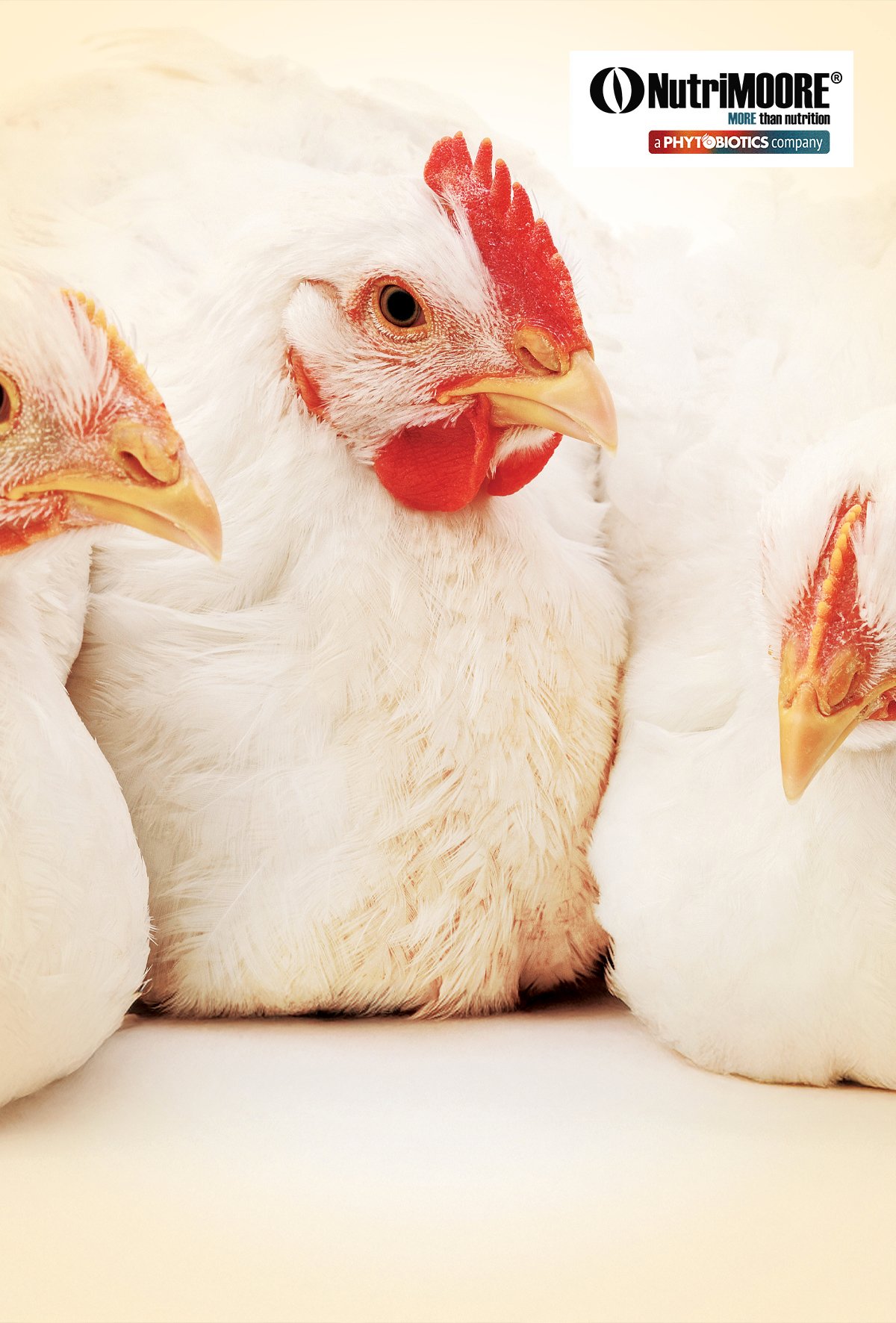 Enteropatilerde enflamasyonun rolü