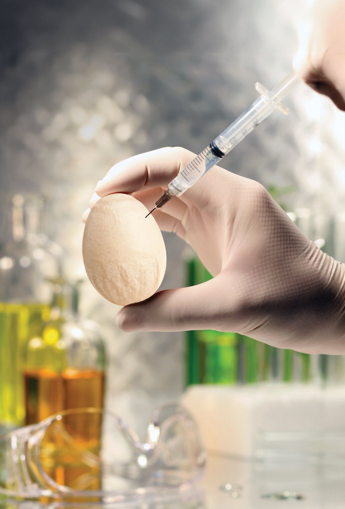 Yumurta kabuğu patolojisinde Mycoplasma Synoviae