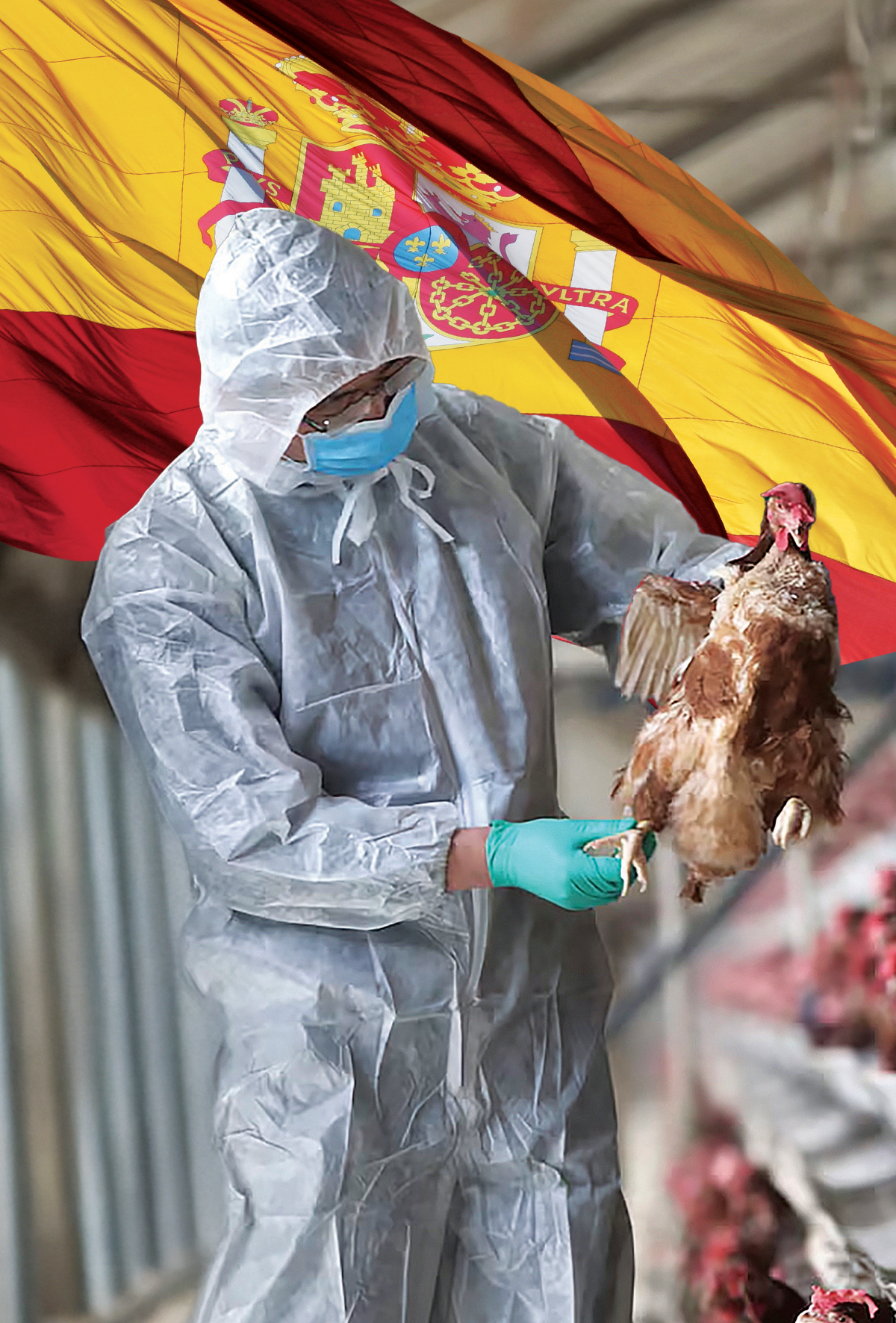 İspanya’da 3 yıl sonra New Castle vakası