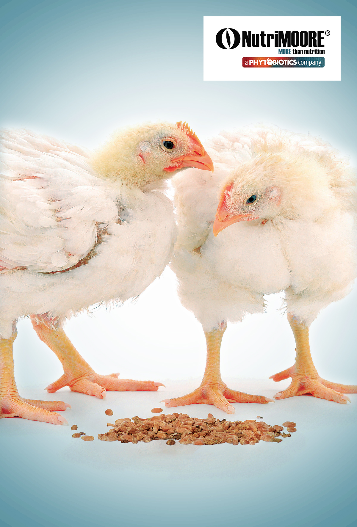 Bağışıklık sisteminin eğitim merkezi: Bağırsaklar…