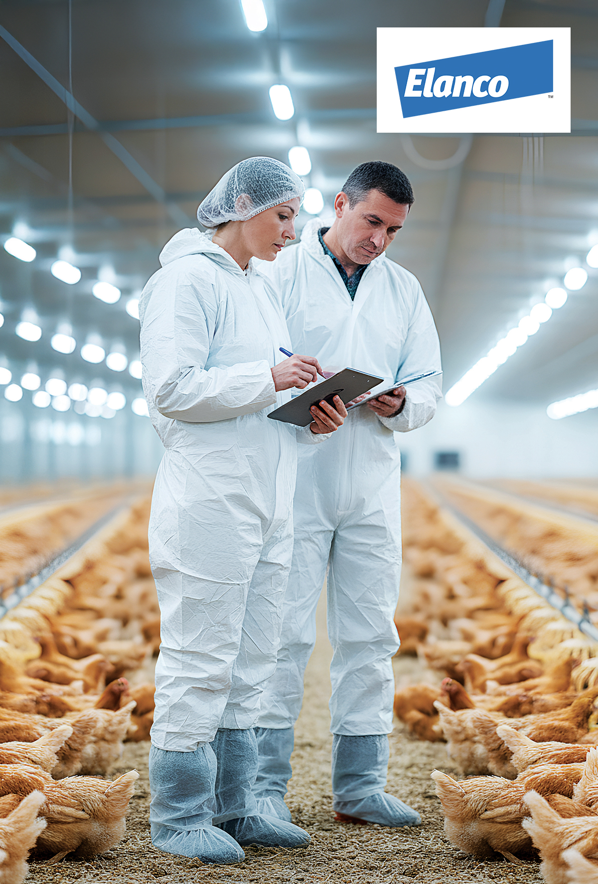 Salmonella: Dünya çapında bir sorun 