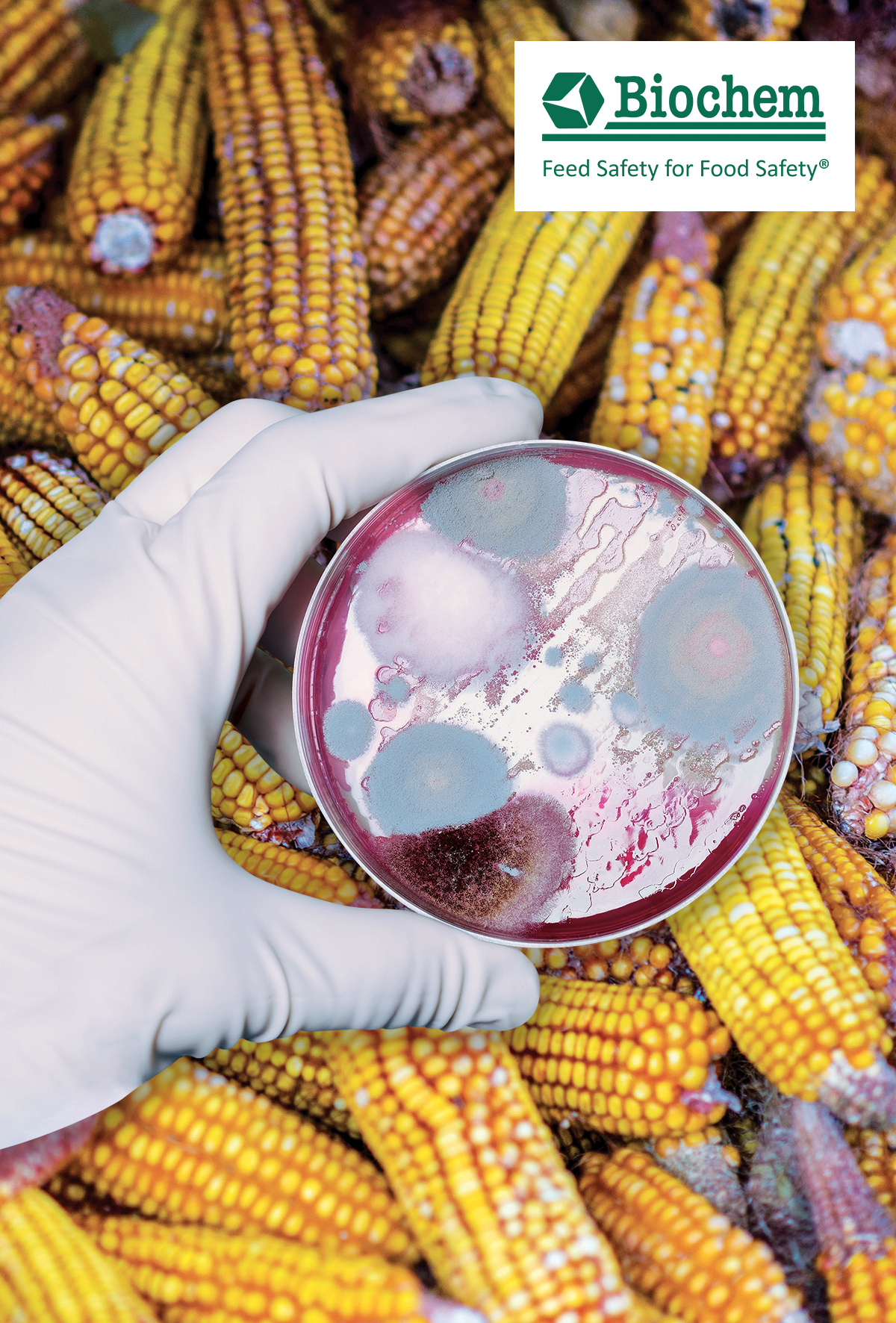 Kaliteli bir mikotoksin bağlayıcının 3 temel özelliği