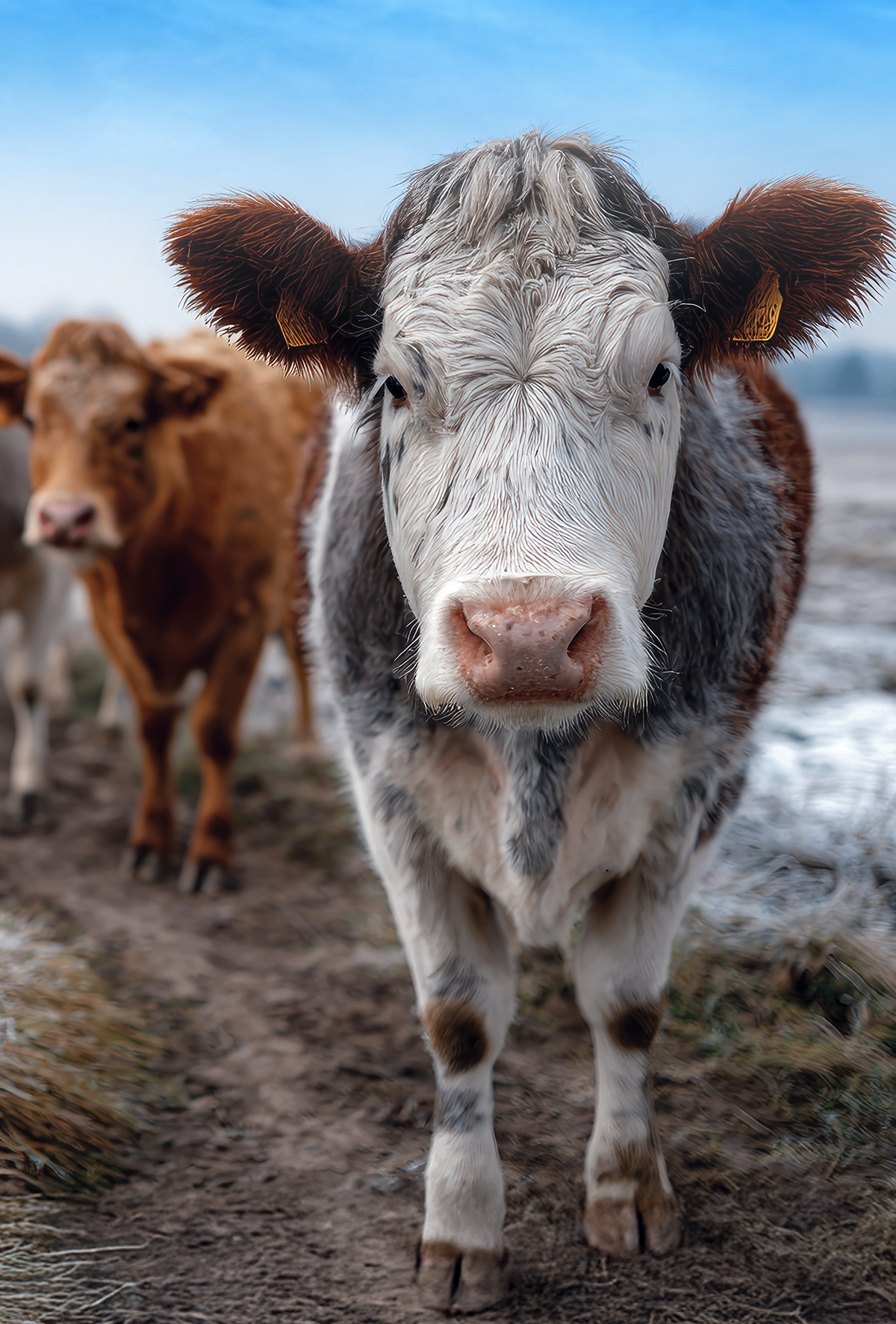 Metabolik hastalıklar ve önleme yöntemleri