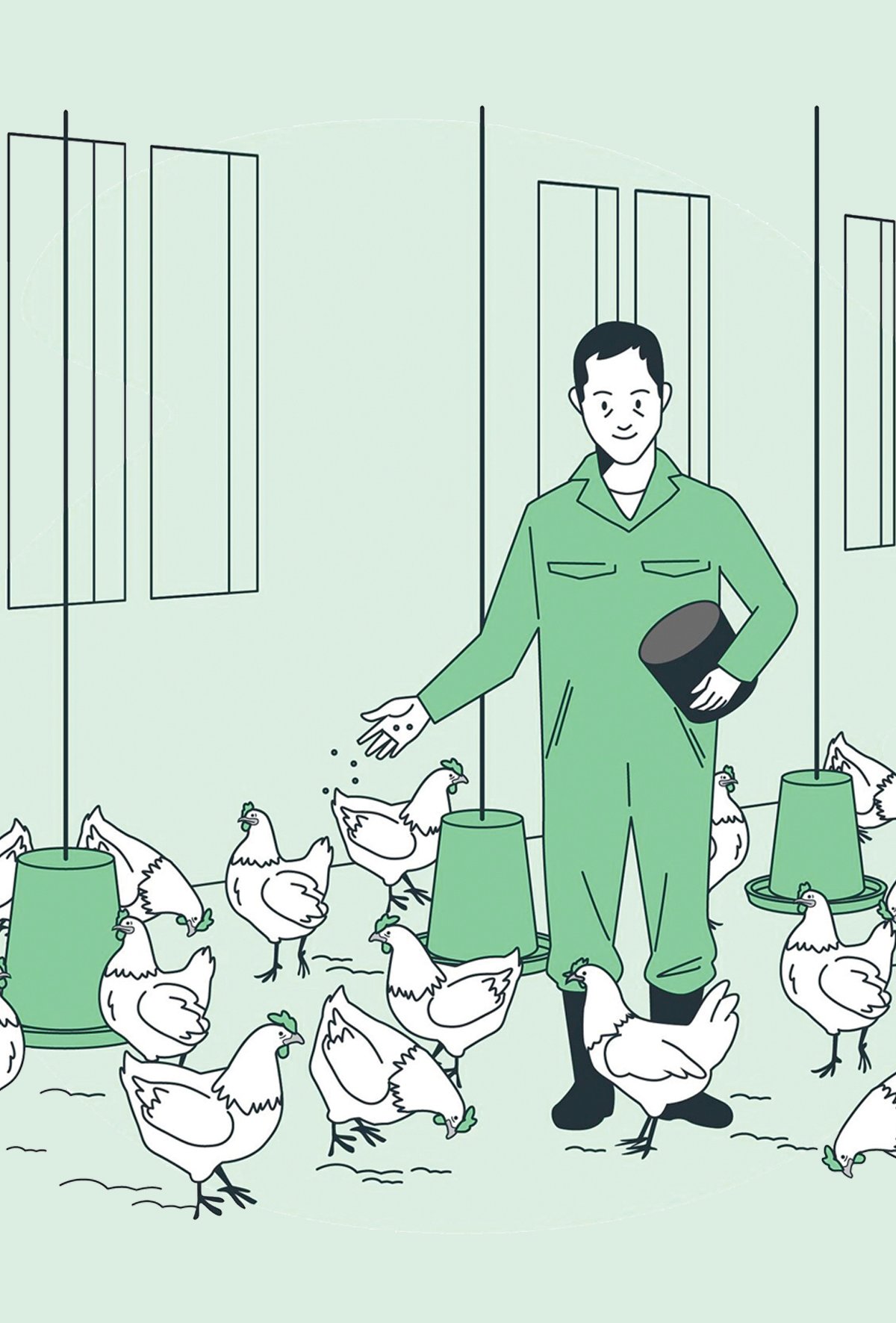 Amino asitlerin kanatlı rasyonlarındaki önemi