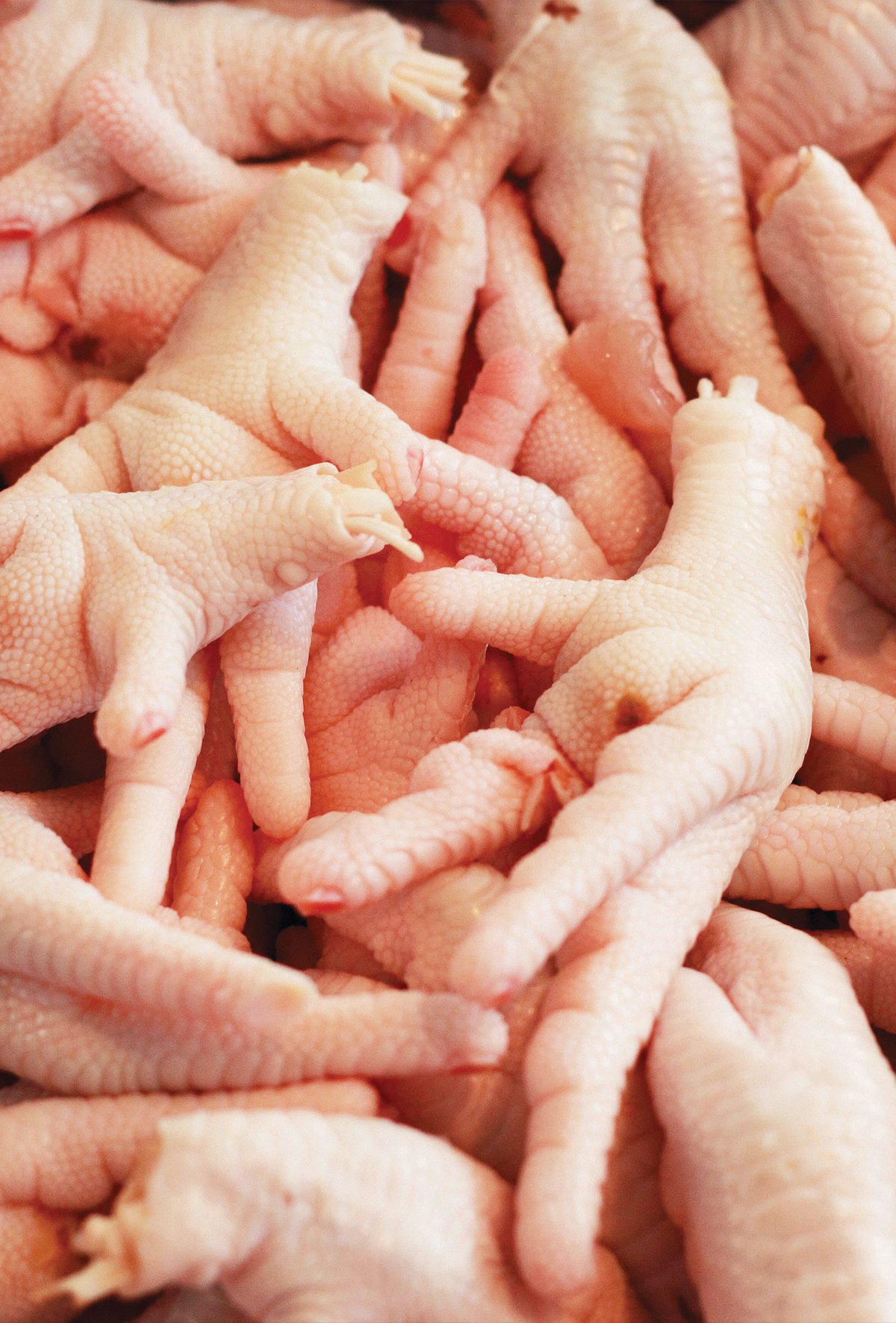 Kanatlı sektörü tavuk ayağı ihracatı için onay bekliyor