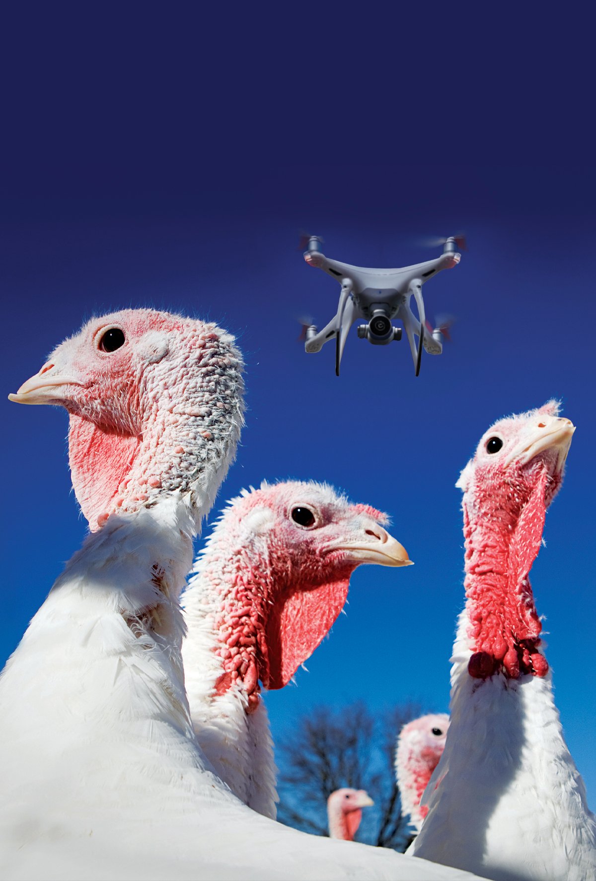 Hindiler yapay zekâ ve drone ile izleniyor