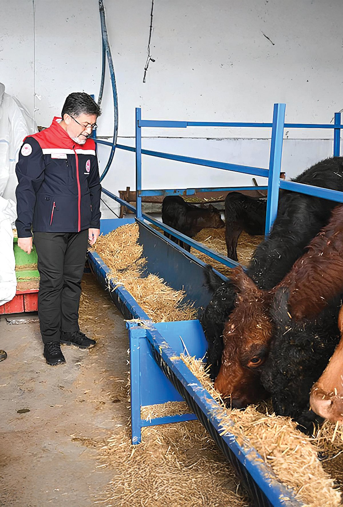 Kırsalda bereket projesi üretimi güçlendiriyor