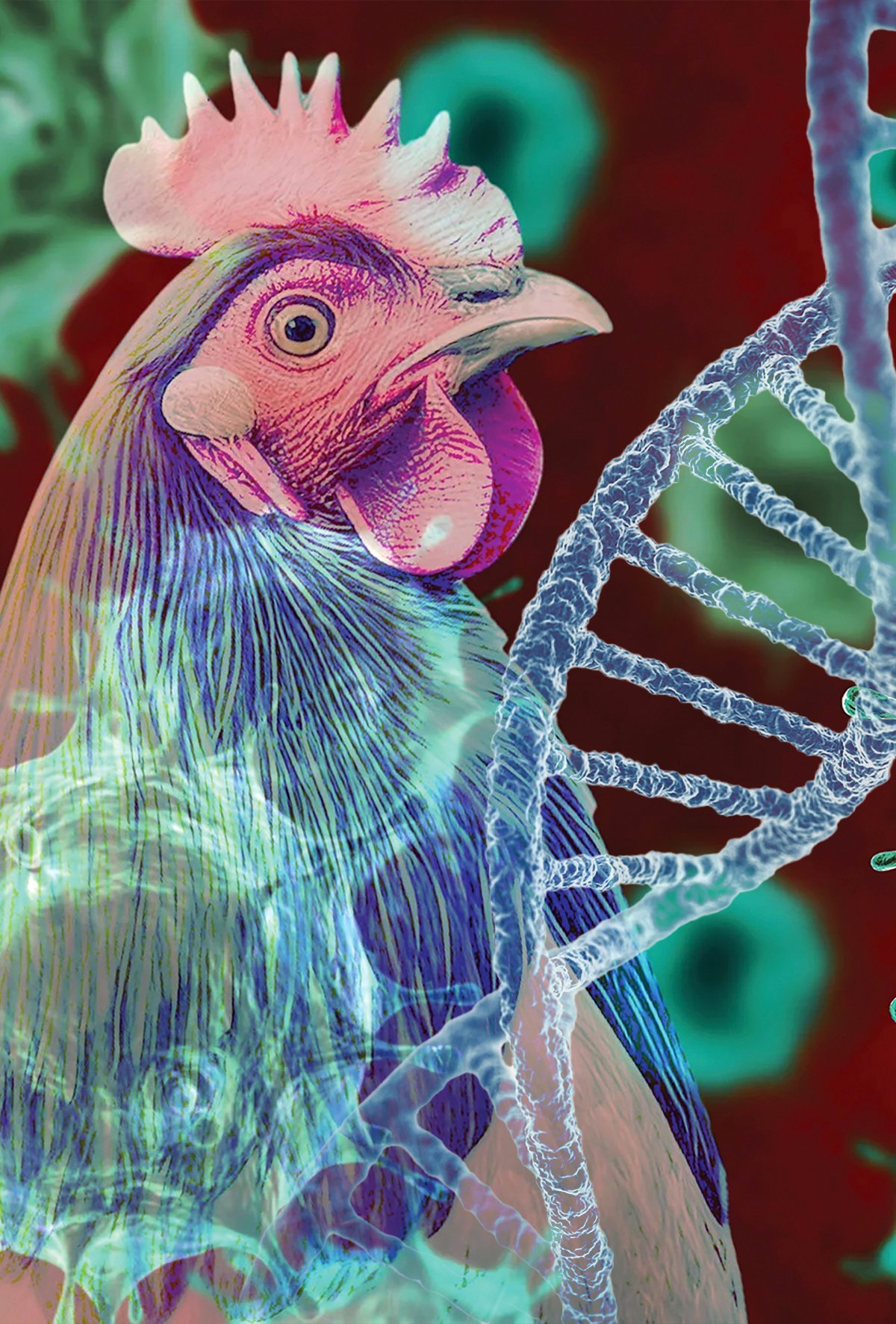 Kuş gribi salgınlarına karşı CRISPR