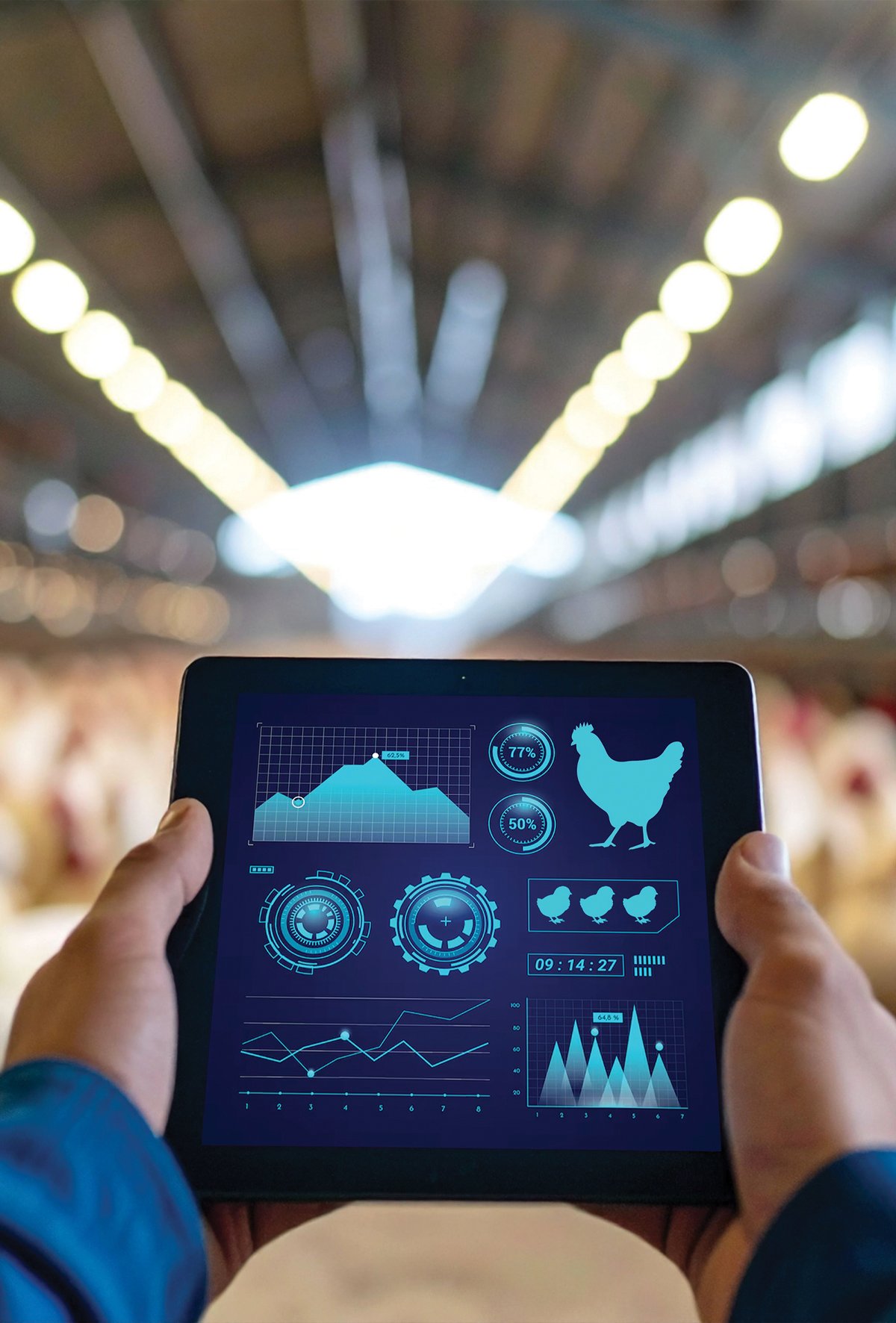 Teknoloji sayesinde broiler üreticilerinin verimlilikleri artırıyor