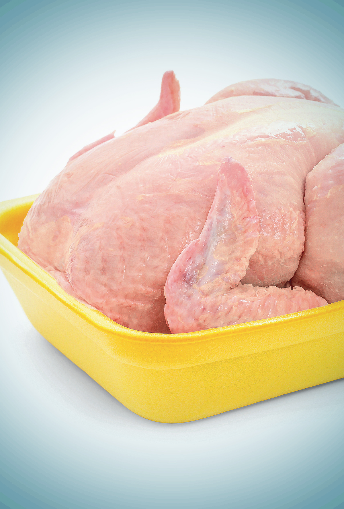 Ticaret Bakanlığı kanatlı eti ihracatını durduruyor