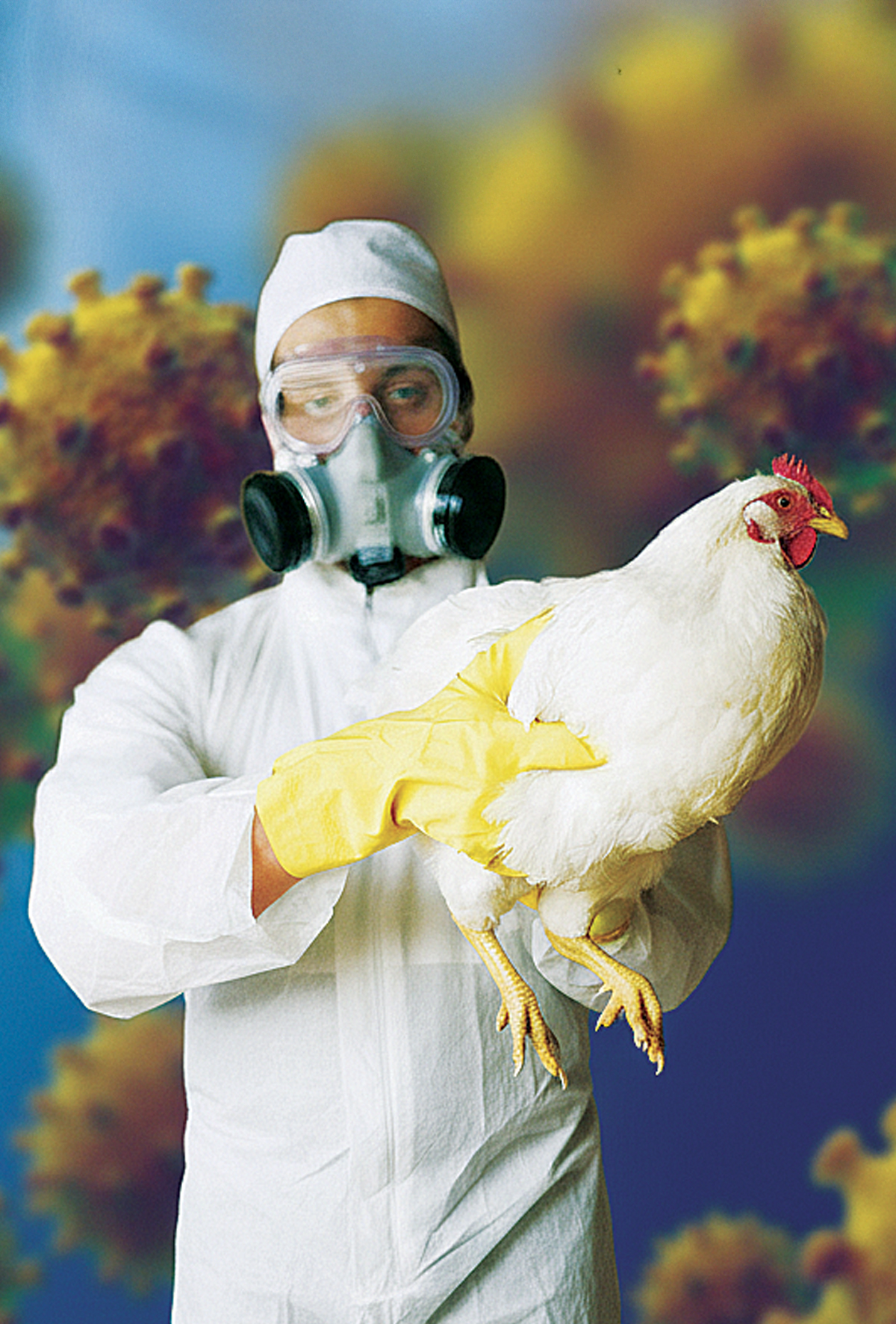 Newcastle Avrupa’da hızla yayılıyor