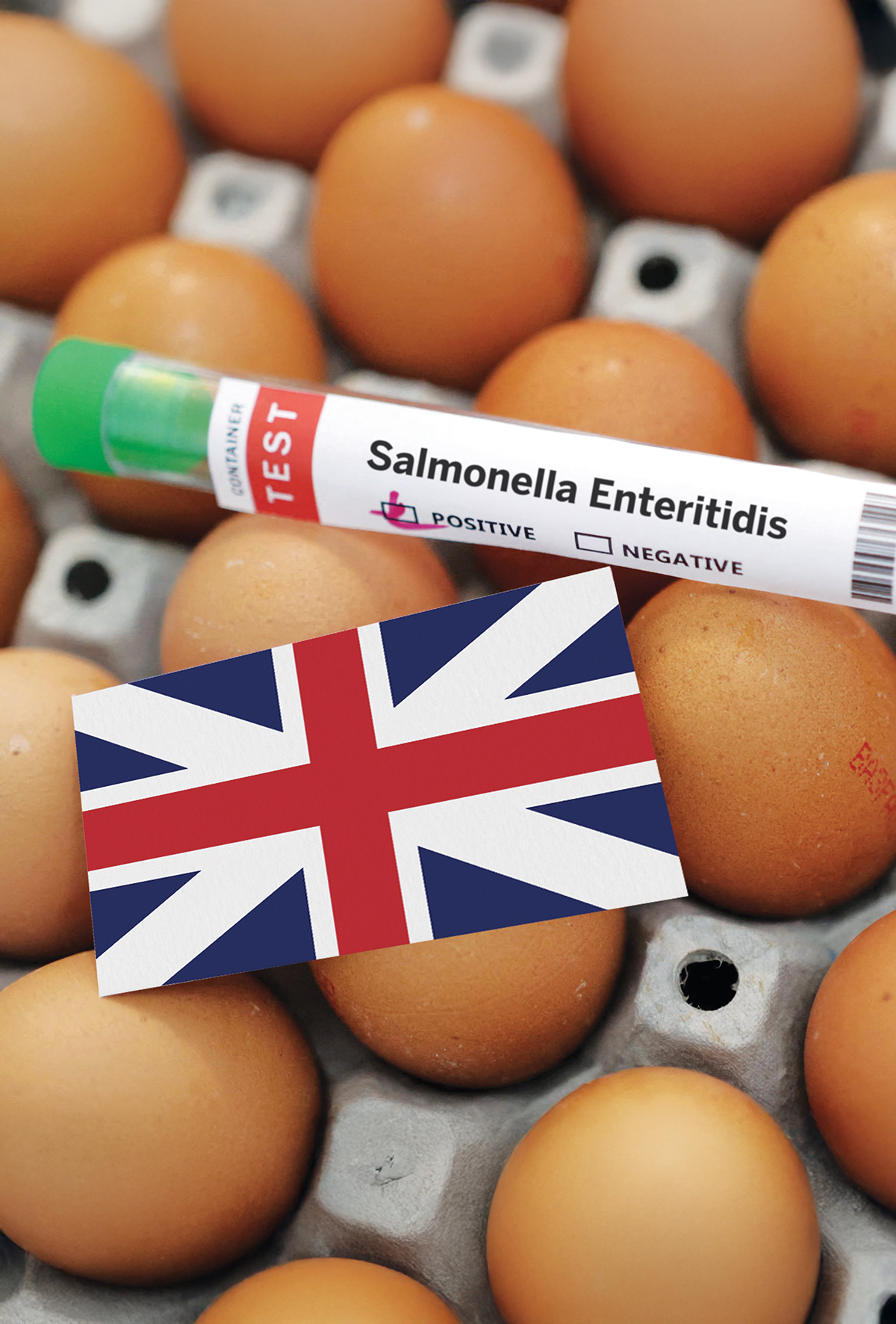 Birleşik Krallık’ta Salmonella salgını