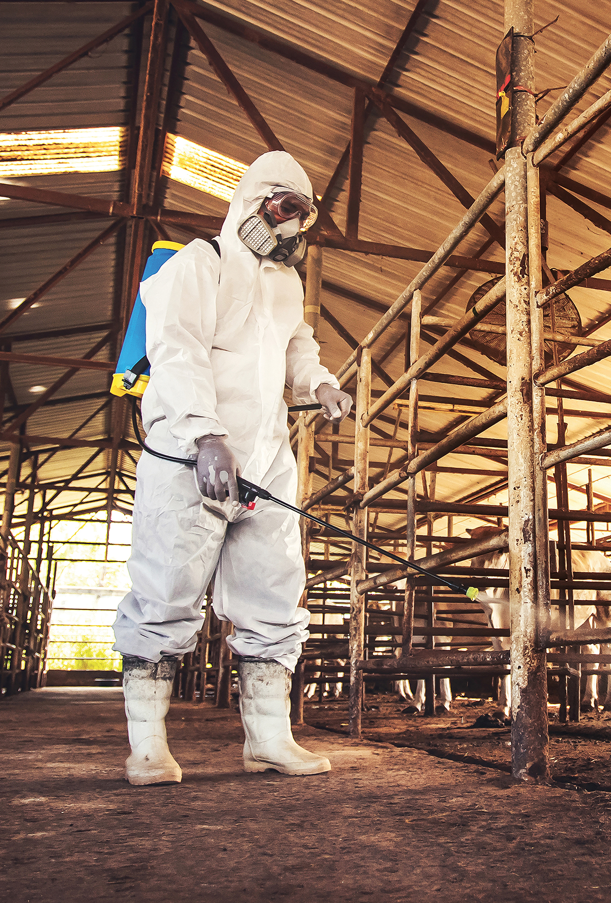 Çiftliklerde hastalıklar için biyogüvenlik önerileri