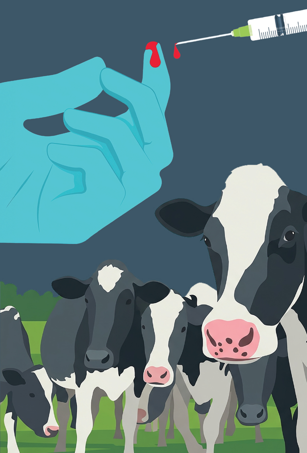 Veteriner hekimlikte iğne batması yaralanmaları