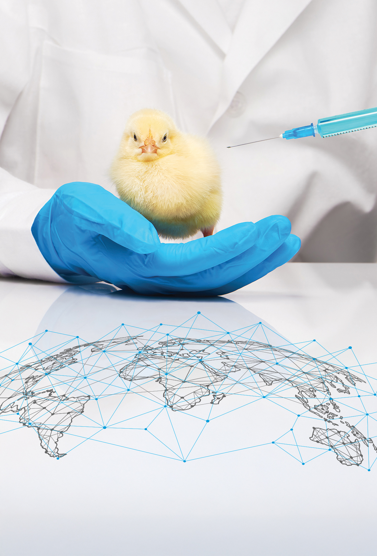 Dünya kanatlı hastalıklarının epidemiyolojik risk haritası