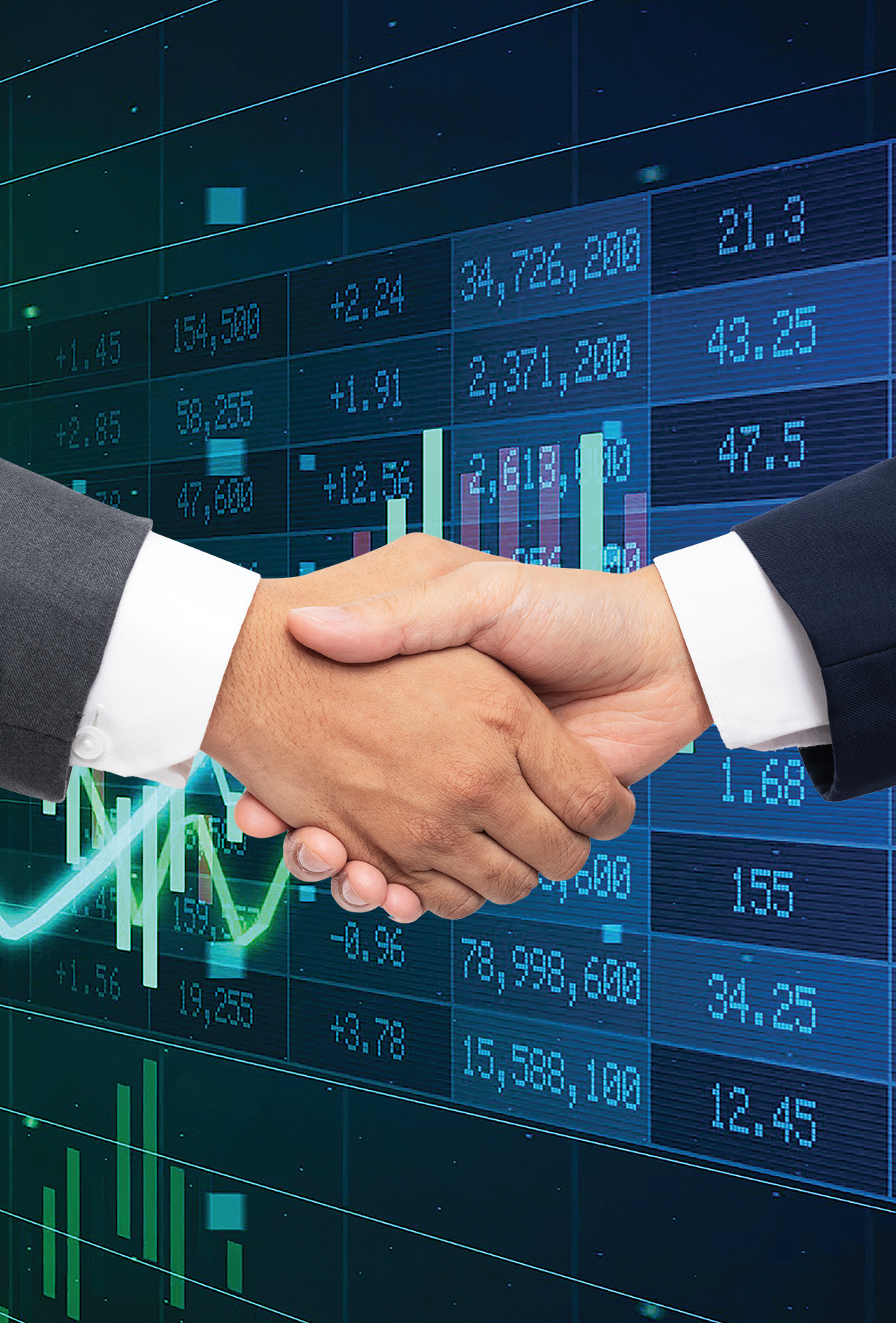 CCPA Group, Yem-Vit’in çoğunluk hisselerini satın alarak Türkiye’deki varlığını güçlendiriyor