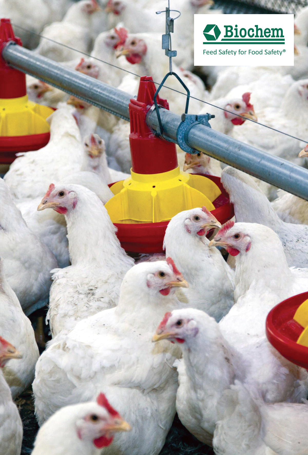 Kârınızı yakmayın – Yüksek sıcaklıklar için doğru besleme konseptleri