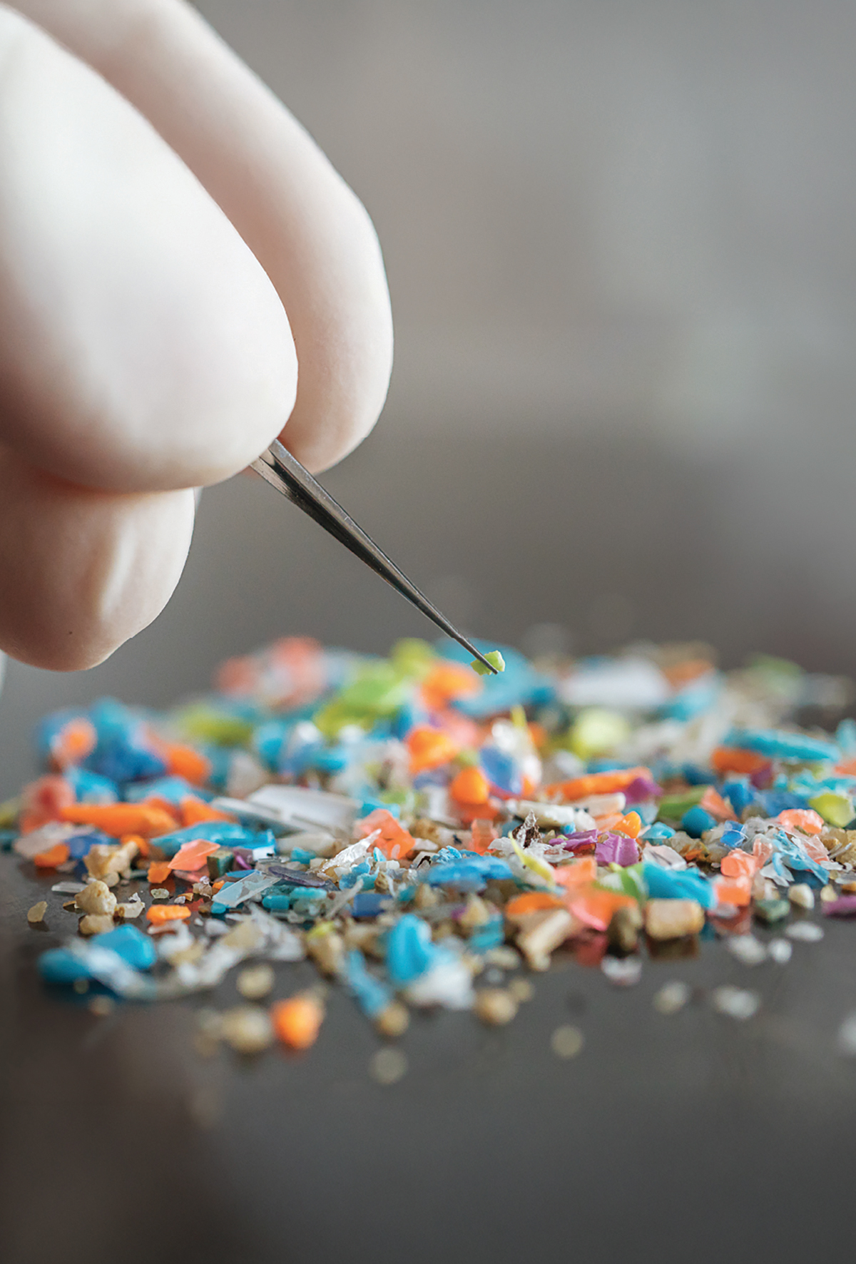 Kosta Rika’da hayvansal gıdalarda mikroplastik alarmı
