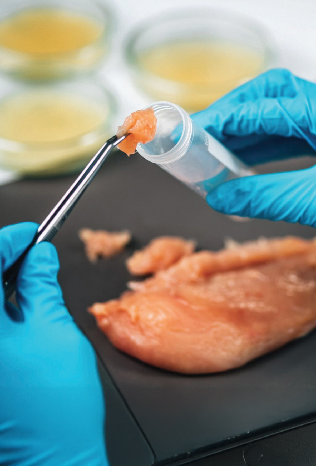 İngiltere’de Salmonella alarmı: Vakalar son 10 yılın zirvesinde
